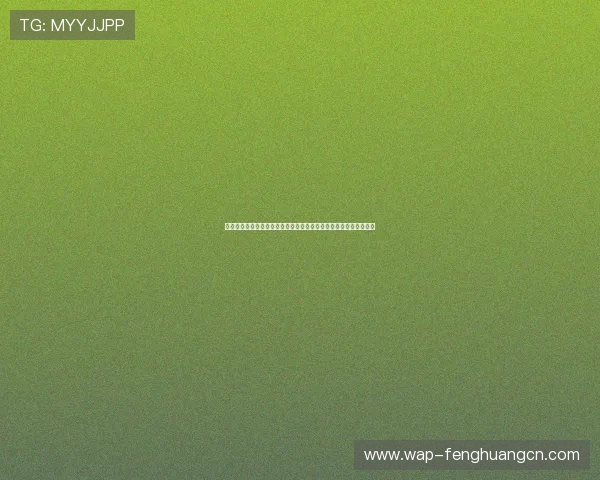 突尼斯荷兰世界杯比赛中后防线的组织结构与关键球员表现深度解析 突尼斯荷兰世界杯比赛中后防线的组织结构与关键球员表现深度解析